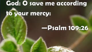 Morning Prayer of God's Mercy #youtubeshorts #jesus #grace #mercy #faith #blessed #fyp #joy #trust