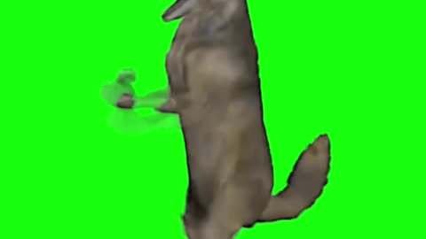 Dancing Wolf Meme | Green Screen