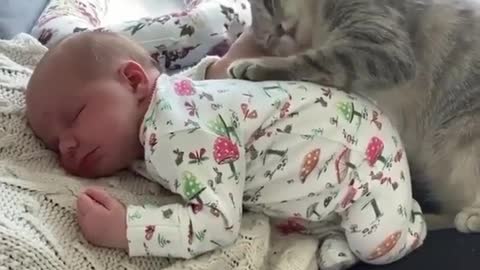 I love my family| cat sleeping with my baby|cat family