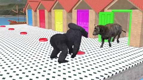 Paint & Animals Gorilla,Duck CartoonT-Rex,Hamster Fountain Crossing Animal Cartoon