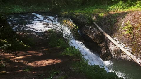 SILENT PERSPECTIVE @ Twin Falls! | Trail of Ten Falls | Silver Falls State Park | Oregon | 4K