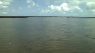 Filming the surrounding sea, the waves were very calm [Nature & Animals]