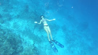 Diver Blows Perfect Bubble Rings