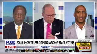 Larry Kudlow: These 'racist charges' against Trump are a 'pity'