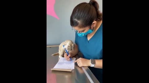 dog is trying to write