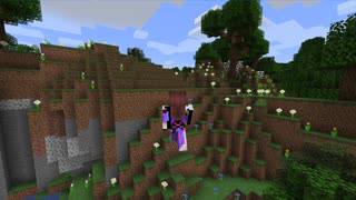Minecraft1.17.1_Modded 1st outting_11