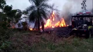 Bolivia battles blaze that burned down grasslands