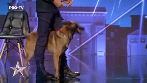 DOG! TALENTED Câinele care a uimit toata sala | Romania's Got Talent | wtf dog talent