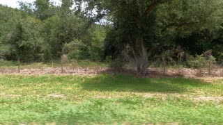 (00164) Part One (P) - Rural Highlands County, Florida. Sightseeing America!