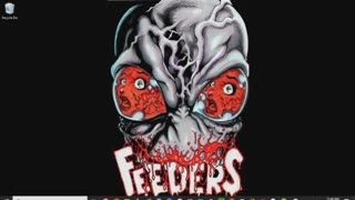Feeders Review