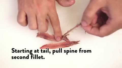 How to Fillet Anchovies