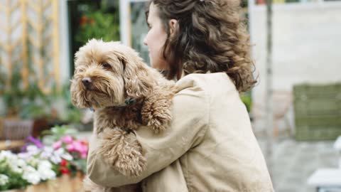 Woman Walking On The Street With Her Dog--FH