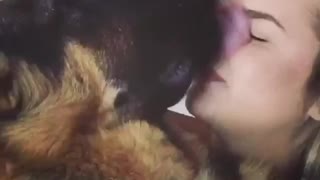 German Shepherd licks owner's entire face