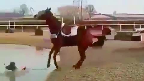 man is falling from while horse riding