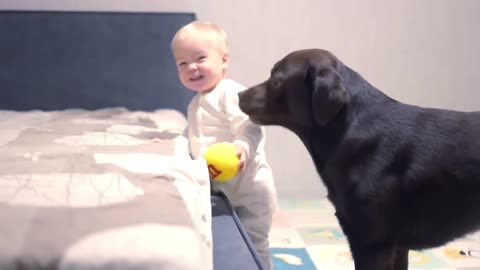 Funny moment! Baby Protects Dog's nap! Dog Begs Baby Boy To play with Him! Cutest EVER!