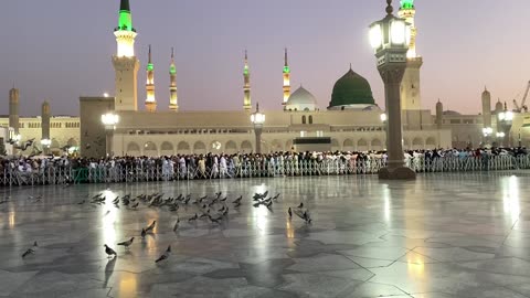 Most beautiful Masjid Nabawi اللَّهُمَّ صَلِّ عَلَى مُحَمَّدٍ وَعَلَى آلِ مُحَمَّدٍ