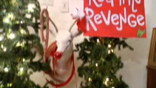 Oddities: Rudolph's Revenge