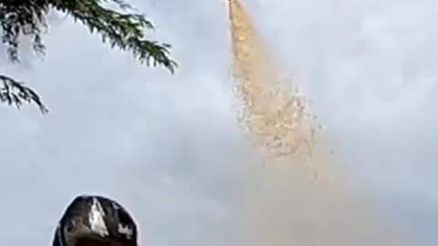 What Happened when LPG gas mix in coco cola bottle