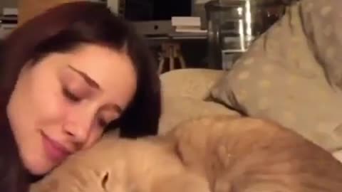 She Love You | Cat