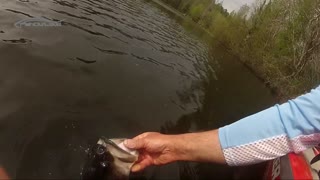 Practice Catch, Release and Swim Away