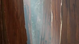 🇺🇲 Sequoia National Park, California