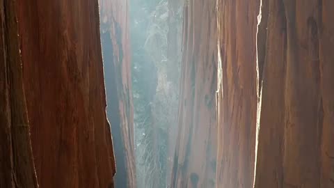 🇺🇲 Sequoia National Park, California