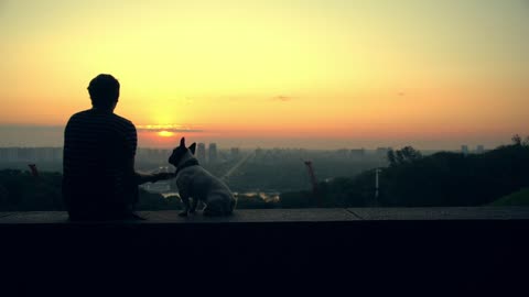 Man with his dog watching the sunset on the horizon