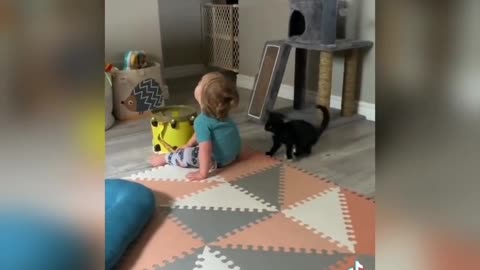 Cat wants to play with baby