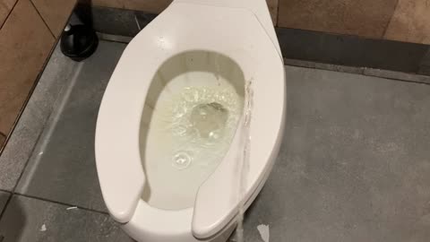 toilet seat urination