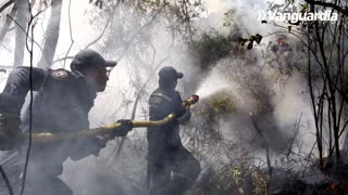 Las devastadoras cifras que deja el incendio en Charta, Santander