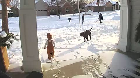 Rosie the Dog vs. Toddler: Who Wins in Snowy Matchup