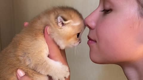 So Cute Baby Cat Cute And Funny Cat # Short