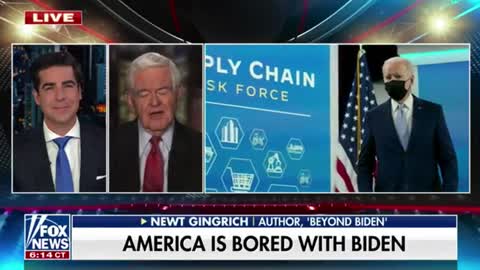 Newt Gingrich: This is a weird administration