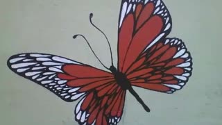 Linda borboleta vermelha, branca e preta desenhada na parede da floricultura [Nature & Animals]