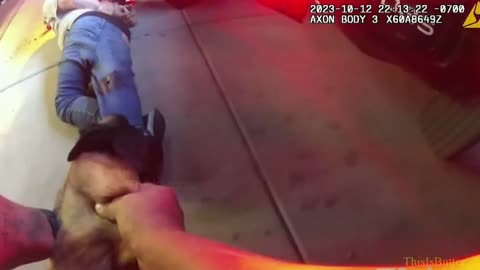 Maricopa bodycam shows suspect being bitten by K9 Karma before being taken into custody