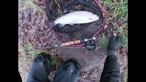 GJ Philip lands a fat rainbow trout on the Tauranga Taupo River NZ.