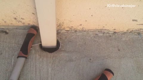 Rattle snake crawls down pipe