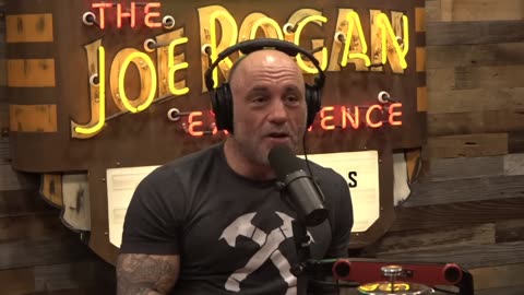 Joe Rogan & Theo: That Guy Has A Hard Drive that Needs to be Investigated