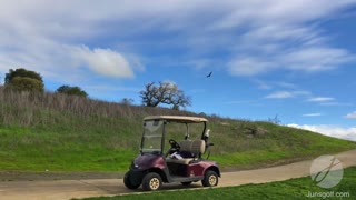 Hawk Wildlife Visit