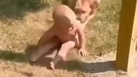 Cute baby fanny video 🤣, Dog and cute baby fanny video,