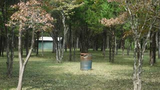 Barrels of fun, Camp Siman, Tiff, MO
