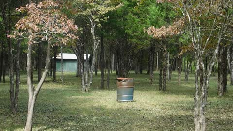 Barrels of fun, Camp Siman, Tiff, MO