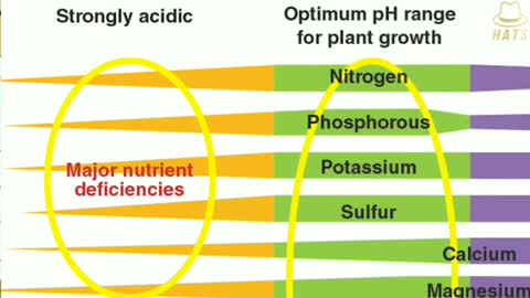 How To Determine Right pH Levels In Soil