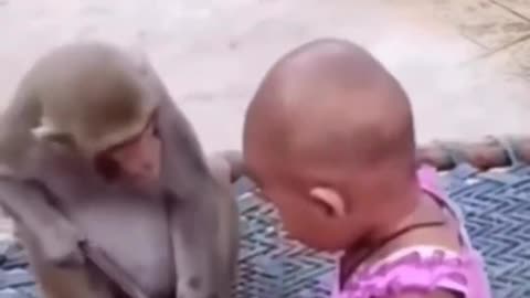Cute Baby And Monkey Funny Fight