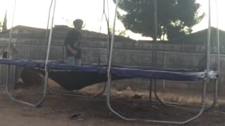 Trampoline Shenanigans!