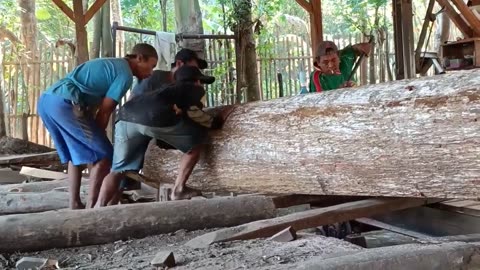 Armed With Decades Of Experience, The Secret To Successfully Sawing Jumbo Mahogany Wood At A Sawmill