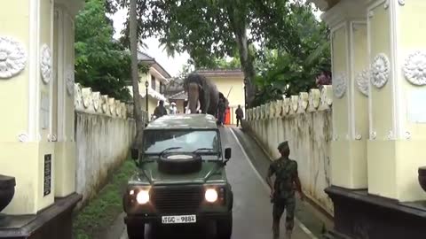 Sri Lankan tusker came to Kandy with government security