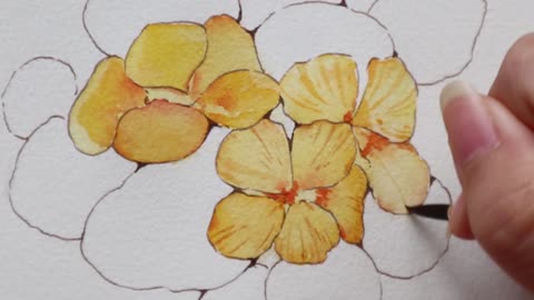 Watercolor painting tutorial: how to paint plants? nasturtium8