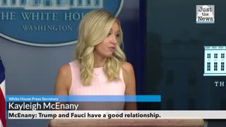 McEnany: Trump and Fauci have a good working relationship