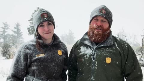 Winter Backcountry Safety in Yellowstone